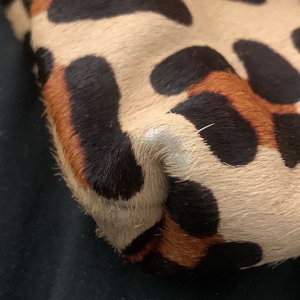 J Crew Leopard Print Wristlet Clutch❤️ - Picture 4 of 8